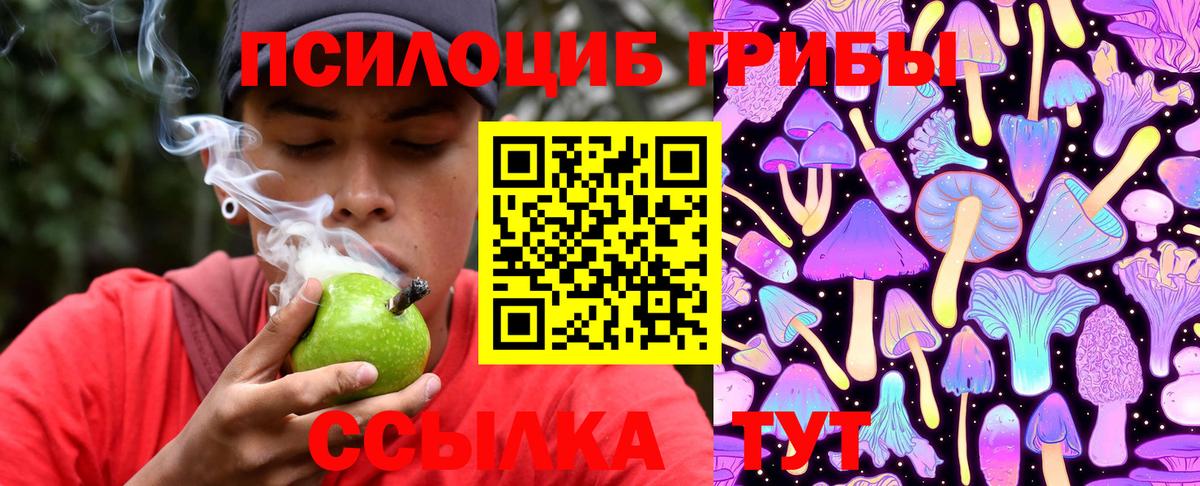 Галлюциногенные грибы мухоморы Елец