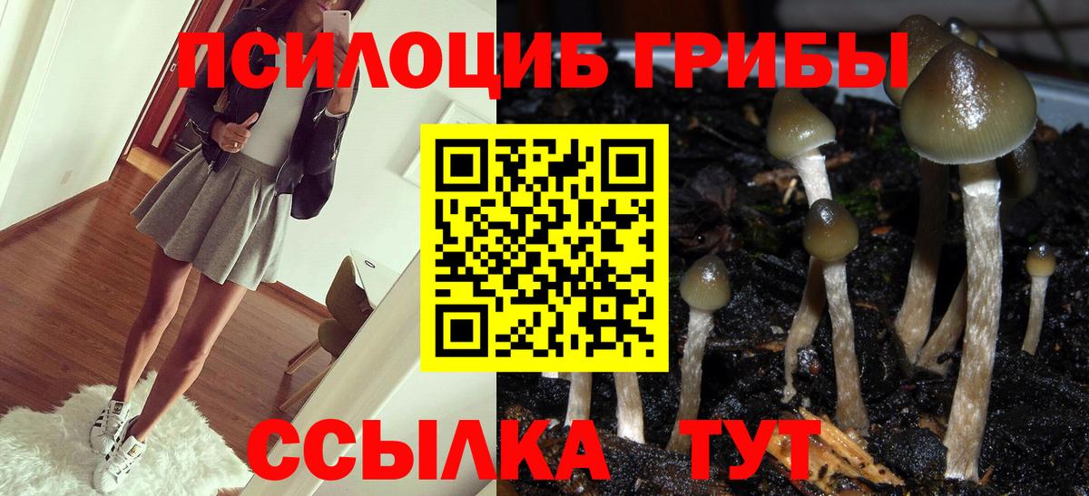 Елец  Галлюциногенные грибы GOLDEN TEACHER  Псилоцибиновые грибы прущие грибы  где купить наркоту  Вход с VPN 